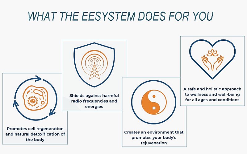 What The EESystem Does For You What The EESystem Does For You